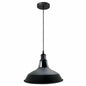 Modern Barn Shade Ceiling Light Fixture ~1116