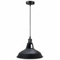 Modern Barn Shade Ceiling Light Fixture ~1116