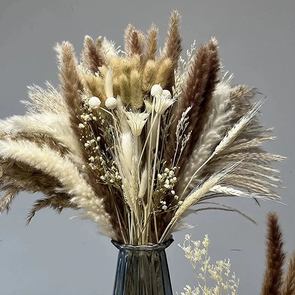 Natural Dried Flowers Eucalyptus Bunny Tail Pampas Grass for Boho Home Decor Wedding Home Living Room Gift 