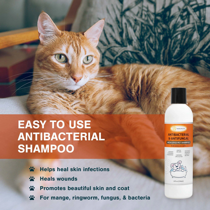 Pet shampoo for very dry skin and calms itching with lime sulfur 